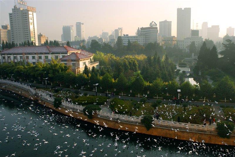 母親河盤龍江 http://www.gzmengda.com/