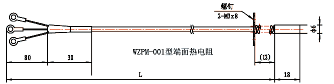 WZPM-001端面鉑電阻結構示意圖