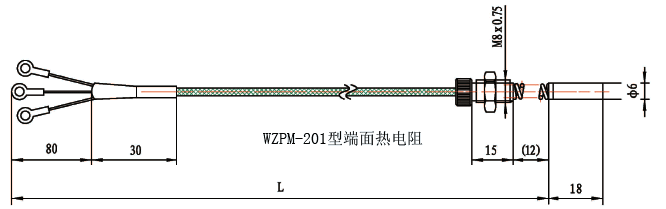 WZPM-201端面鉑電阻結構示意圖