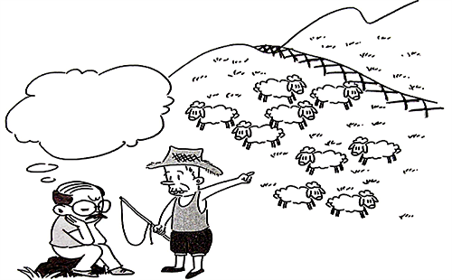 羊走得到的最高的地方，最高點就在那里