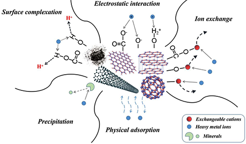重金屬在碳基官能團吸附劑上的吸附機制示意圖